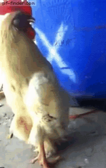 1612581438507.gif