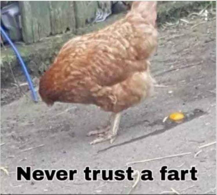 1616022702383.jpeg