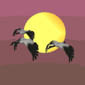 1619044007220.gif