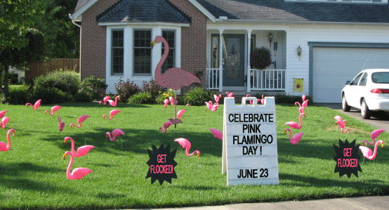1621633433444.gif