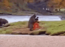 1626458868019.gif