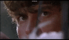 1629216131627.gif