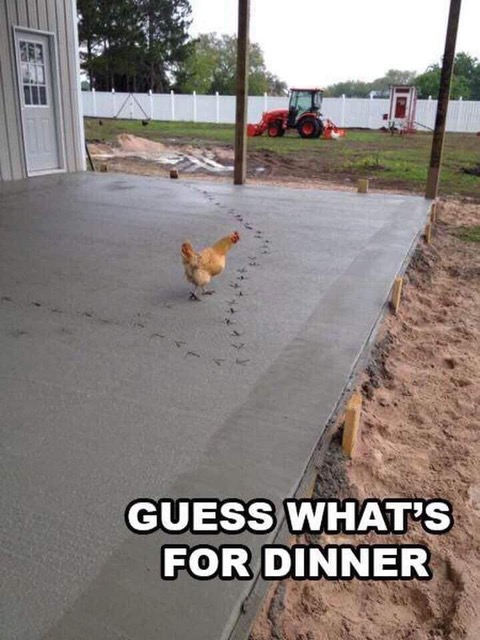 1631334565506.png