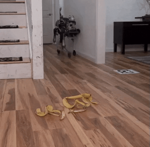 1634257654376.gif