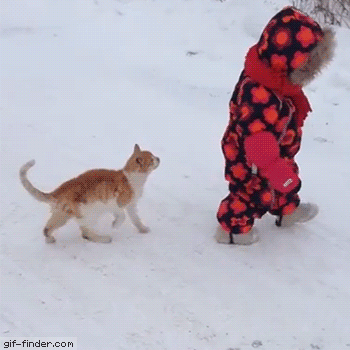 1639874168304.gif
