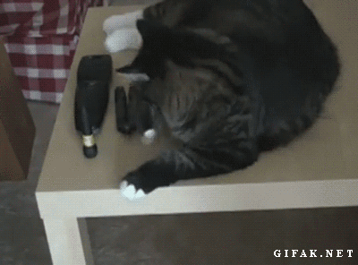 1640892355823.gif