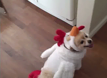 1650573926169.gif