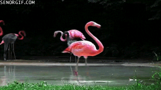 1650652855565.gif
