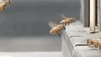 1650689597749.gif