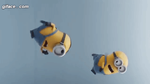 1653236105477.gif