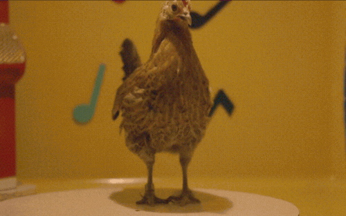 1659056574523.gif