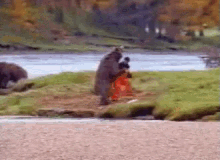 1664817133169.gif