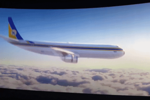 1667088079408.gif