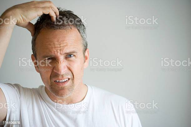 1667227256060.png