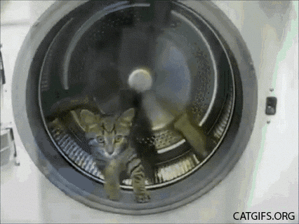 1668993853543.gif