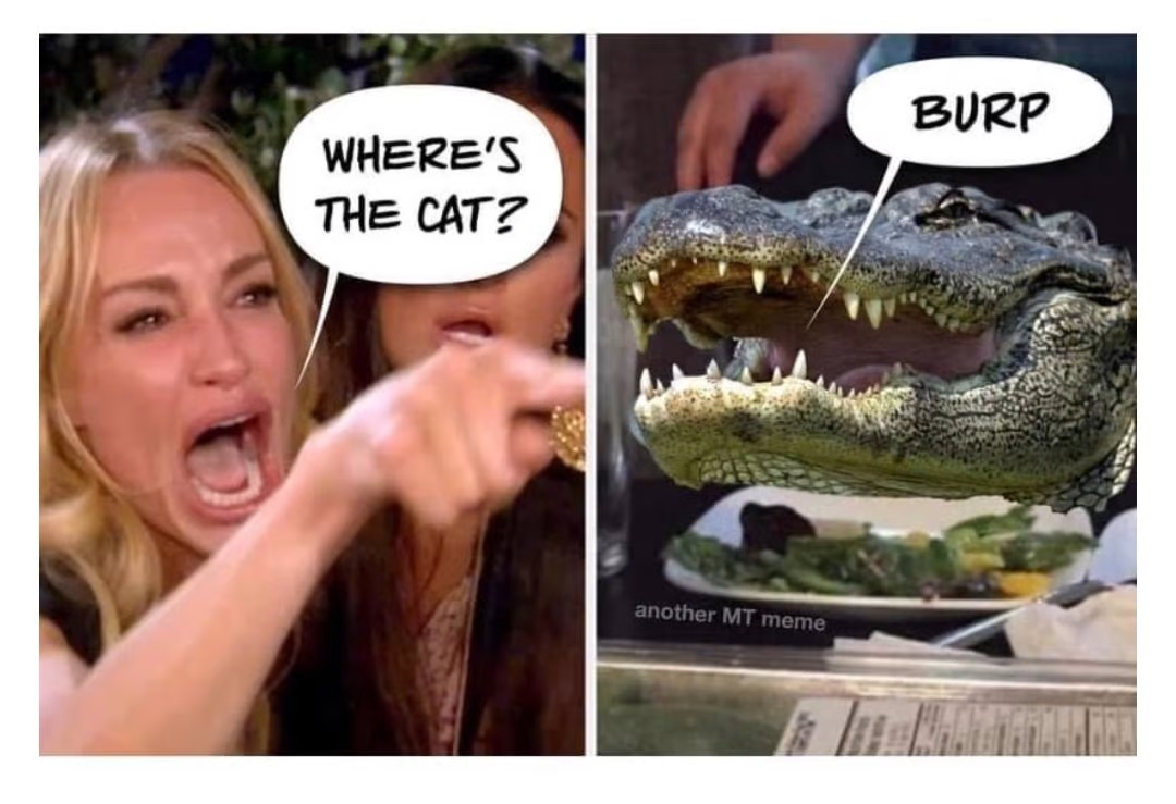 1669238149704.png
