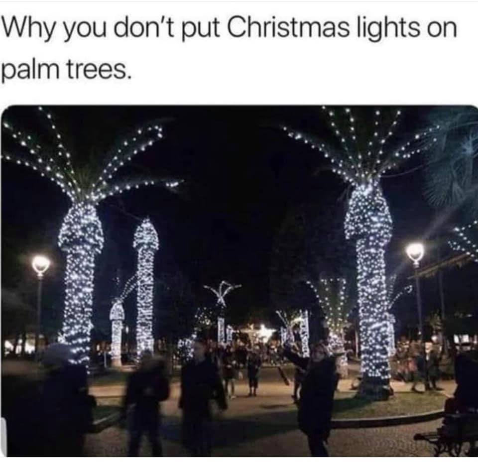 1670123484240.jpeg