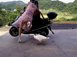 1673044478555.gif
