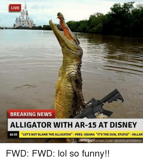 1675972792673.png