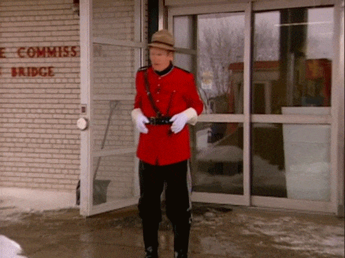 1677070095388.gif