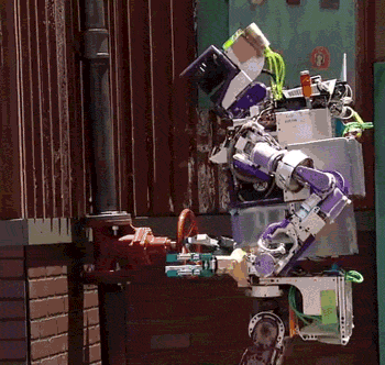 1677986917546.gif