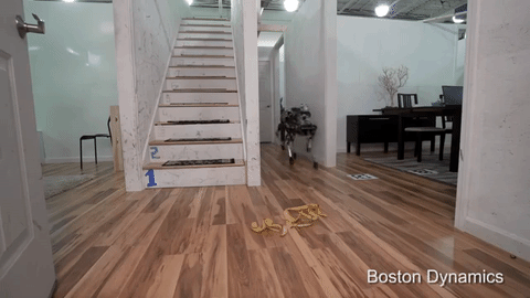 1677986960793.gif