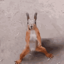 1685476777505.gif