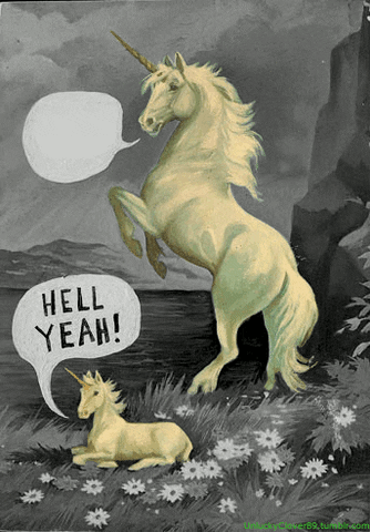 1685586393981.gif
