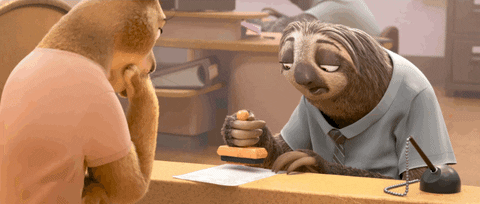 1685990541583.gif