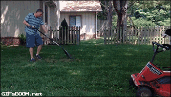 1687183163513.gif