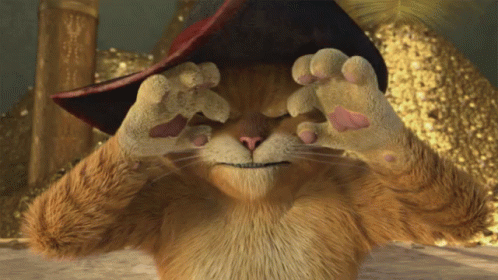 1688049817273.gif