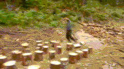 1688657161929.gif