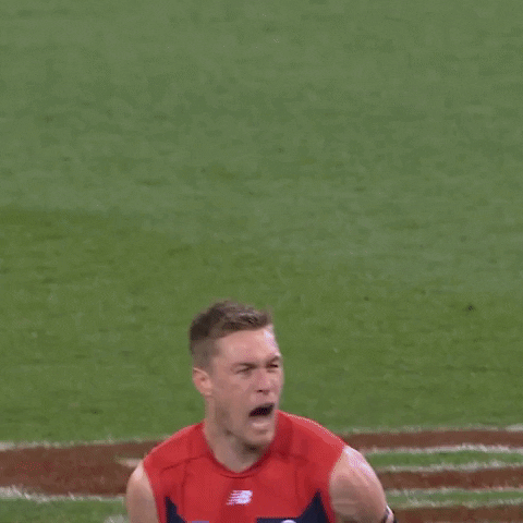 1690596621814.gif