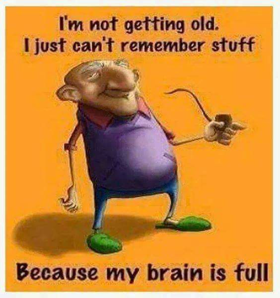 1693245480442.jpeg