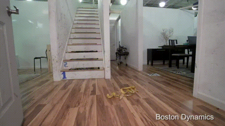 1694642344490.gif