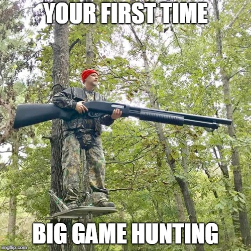 1696870686312.png