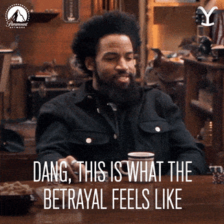 1697681025351.gif