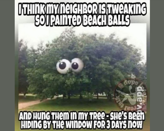 1702396251241.pngsw.png
