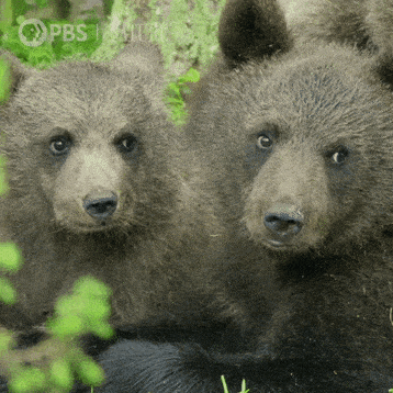 1704488935182.gif