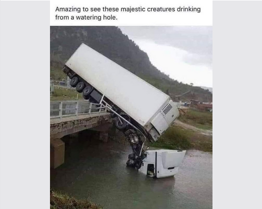 1705328847024.pngsw.png