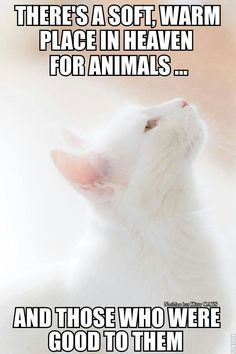 1706285821235.png
