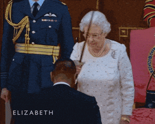 1706668552081.gif