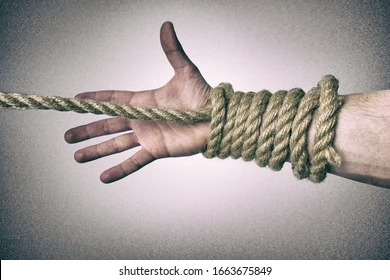 1706886384327.png