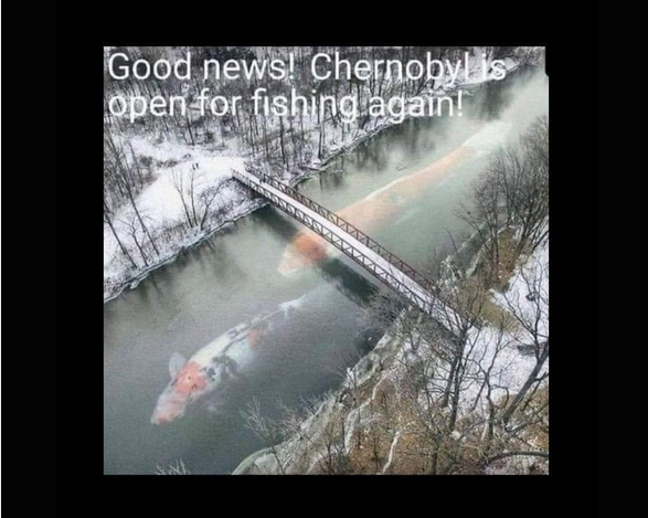1706984907025.pngsw.png