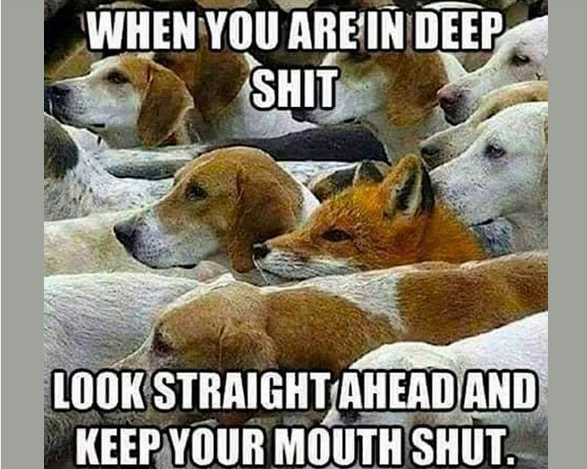 1707588218463.pngsw.png
