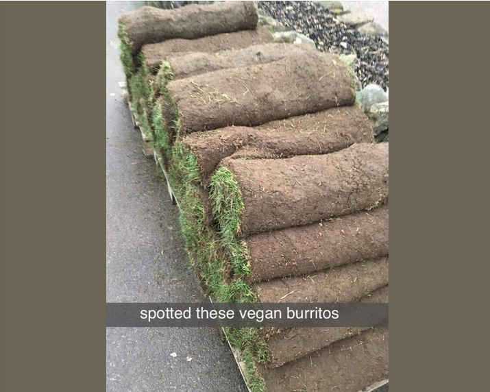 1707588960940.pngsw.png