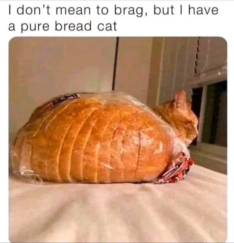 1707775618091.jpg