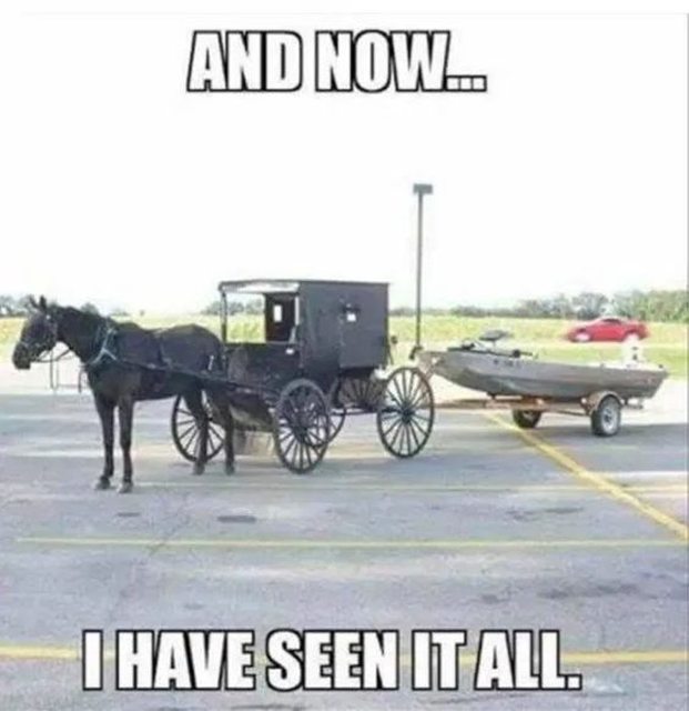 1710378964098.jpeg