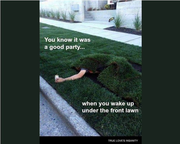 1711383698762.pngsw.png