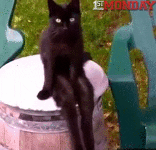 1711414086247.gif